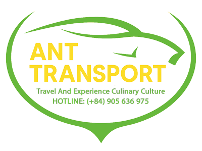 ANT Transport Service